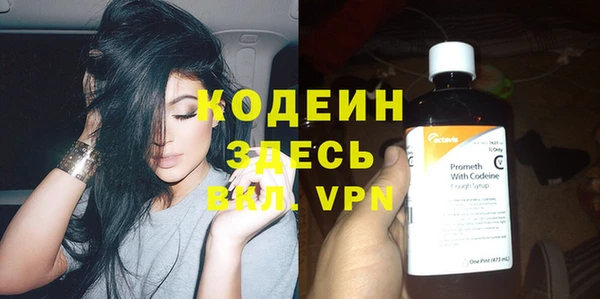 хмурый Белокуриха