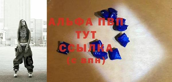 хмурый Белокуриха