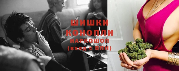 хмурый Белокуриха