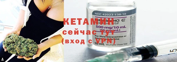 хмурый Белокуриха
