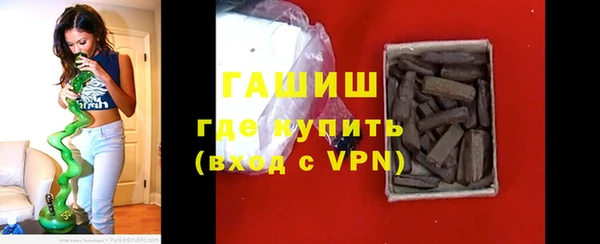 хмурый Белокуриха