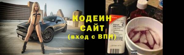 хмурый Белокуриха