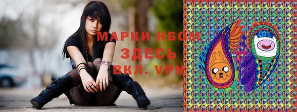 хмурый Белокуриха