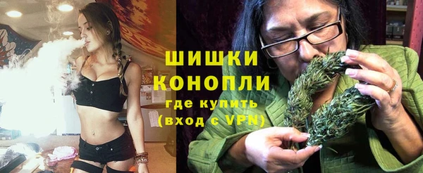 хмурый Белокуриха