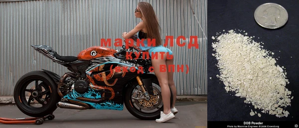 a pvp Снежногорск