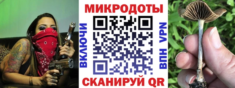 сколько стоит  Володарск  кракен зеркало  Галлюциногенные грибы GOLDEN TEACHER 