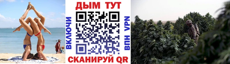 hydra вход  Володарск  Бошки Шишки план 